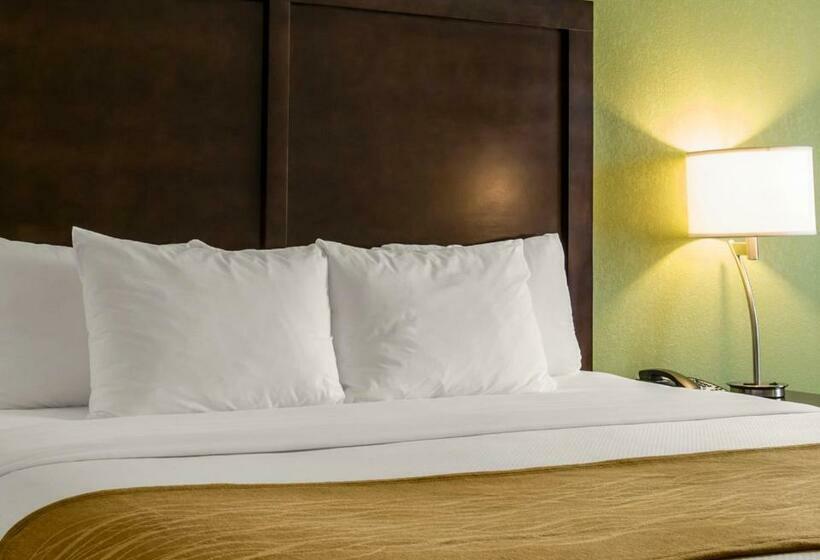 스탠다드 룸, Comfort Inn Sylva   Cullowhee