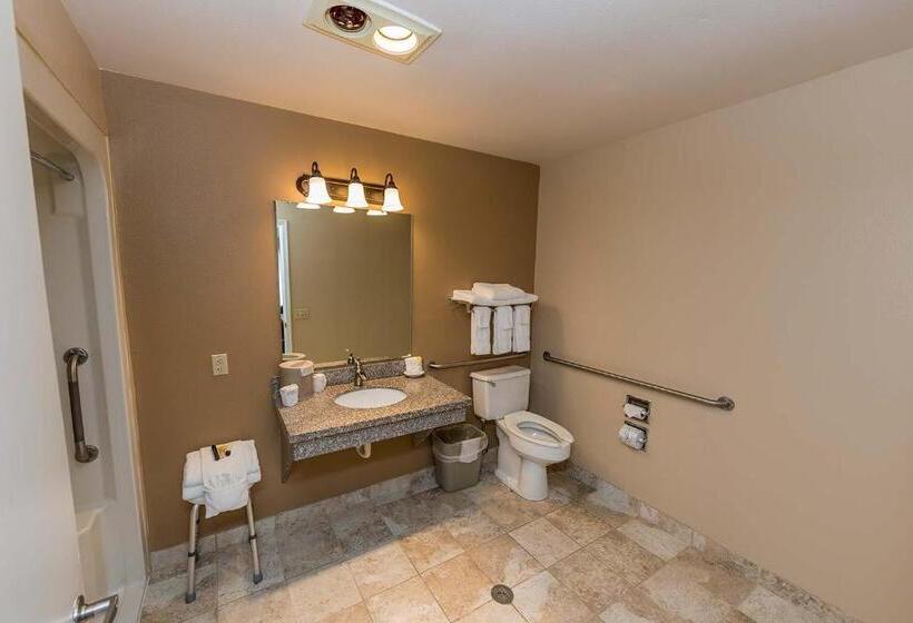 חדר סטנדרט מותאם לאדם עם מוגבלויות, Mill Village Motel