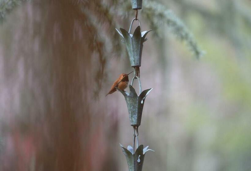 اتاق استاندارد با چشم‌انداز باغ, Otter's Pond Bed And Breakfast