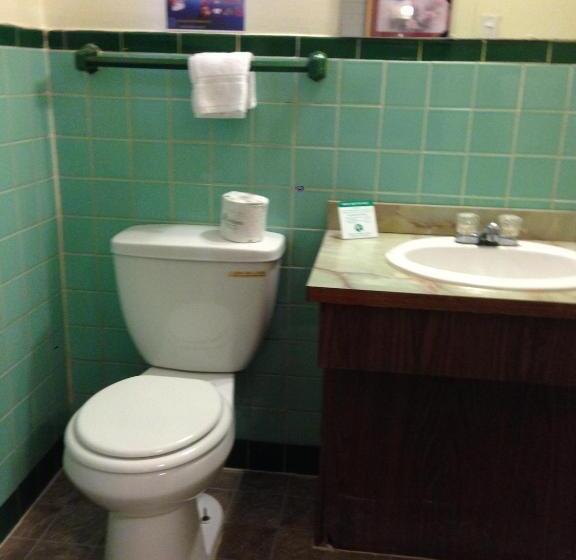Номер Стандарт, Villa Rosa Motel