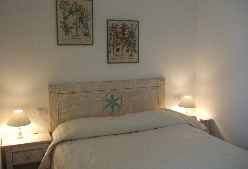 اتاق استاندارد چهار تخته, Roma