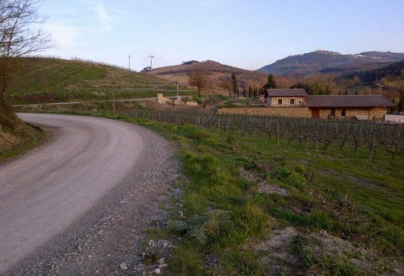 １ベッドルームアパートメント, Agriturismo A. Bonacchi