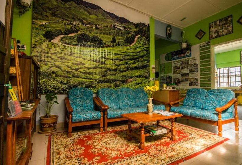 Семейный Номер, Orchid Haven