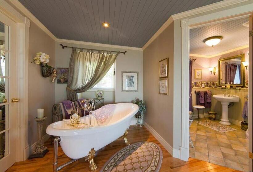 Студия Deluxe, Maison Victoria