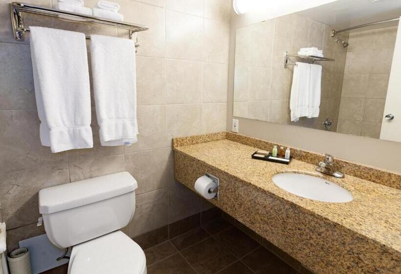 Номер Стандарт, Bcminns  Lloydminster