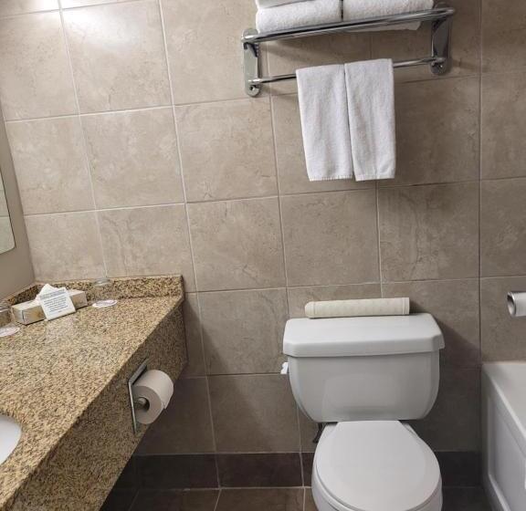 Номер Стандарт 2 Двуспальные Кровати, Bcminns  Lloydminster