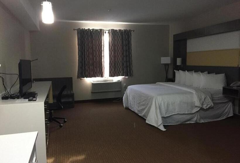 إستوديو قياسى سرير كينج, Southfort Inn