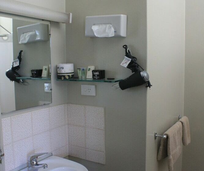 Номер Deluxe, Aromet Motor Inn