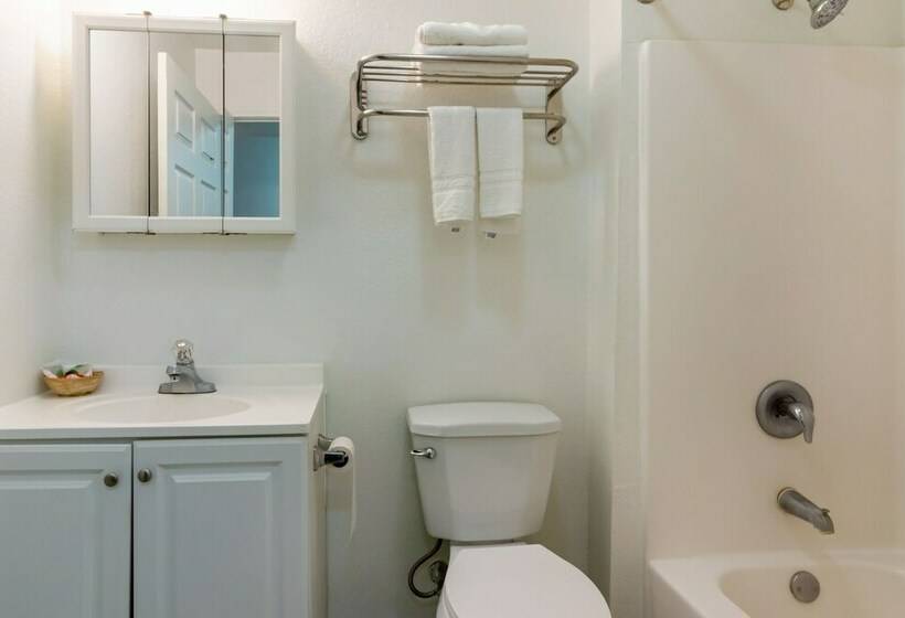 Номер Премиум, OYO Hotel Pearsall I-35 East