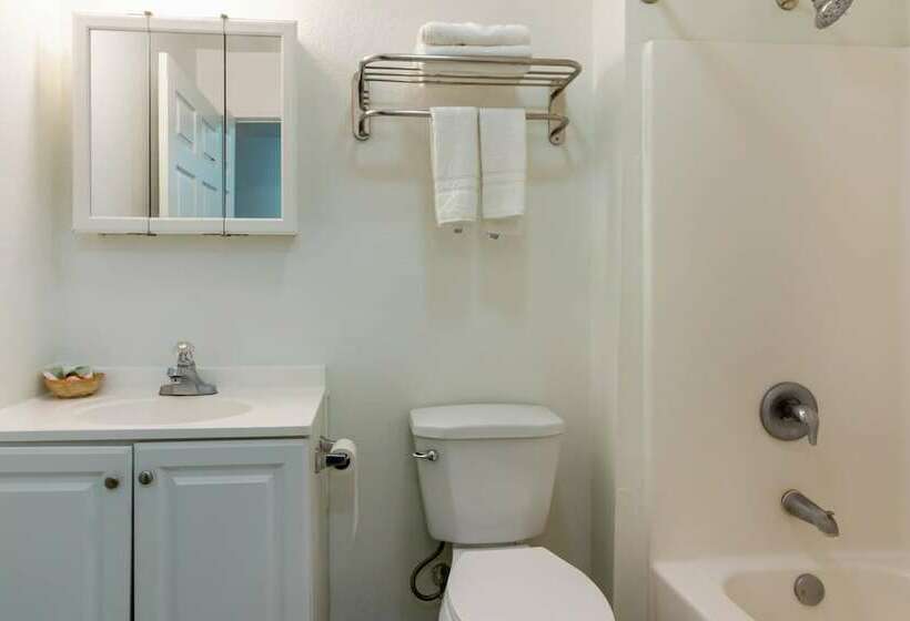 프리미엄 룸, OYO Hotel Pearsall I-35 East