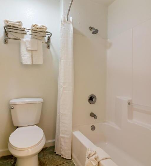 장애인을 위한 킹사이즈 침대 스탠다드 룸, OYO Hotel Pearsall I-35 East