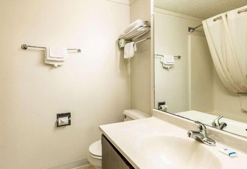 장애인을 위한 킹사이즈 침대 스탠다드 룸, Value Inn Kenosha I 94   Exit 344