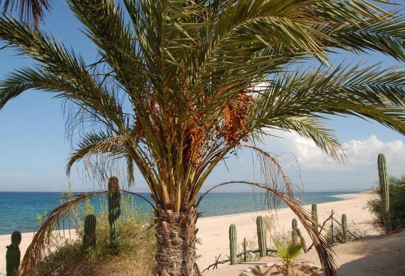 ‫فيلا غرفة نوم واحدة, Ventana Bay Resort