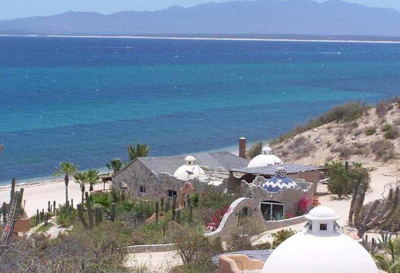 スイート, Ventana Bay Resort