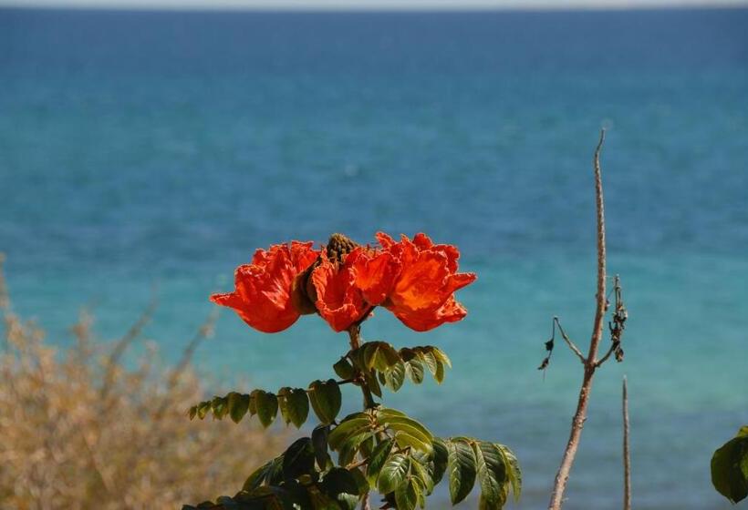 بنجلو قياسى مطل على البحر, Ventana Bay Resort