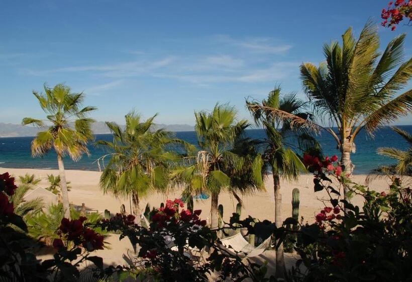 クラシックルーム, Ventana Bay Resort