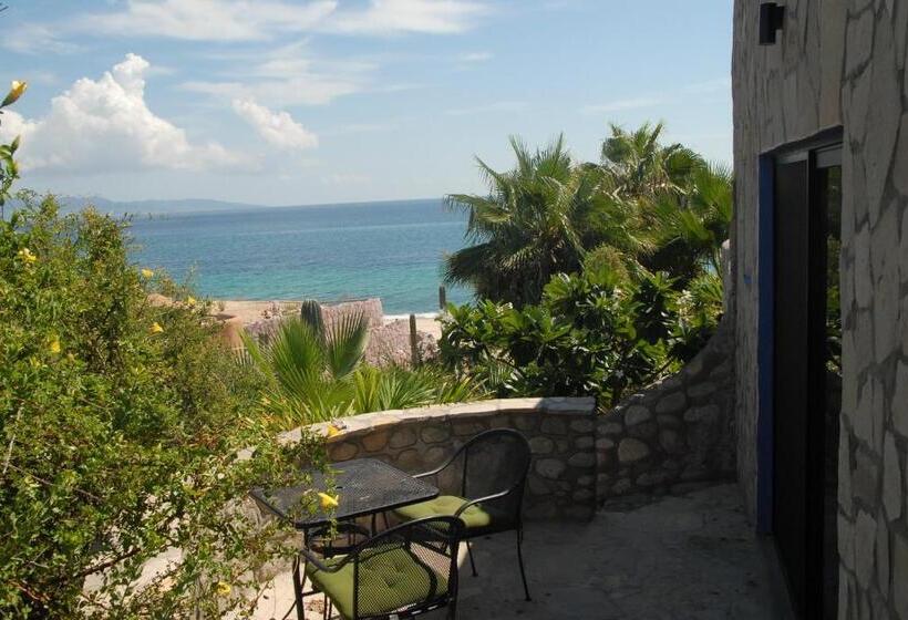 غرفة قياسية مطلّة علي البحر, Ventana Bay Resort