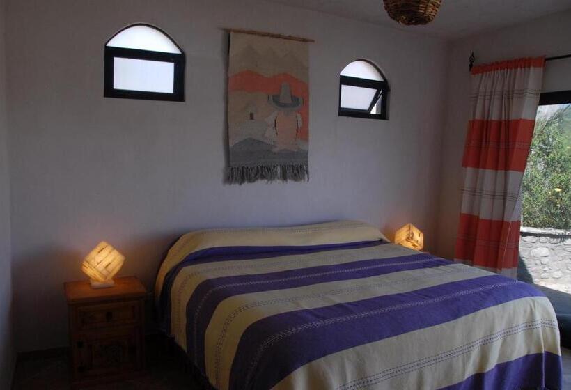 غرفة قياسية مطلّة علي البحر, Ventana Bay Resort