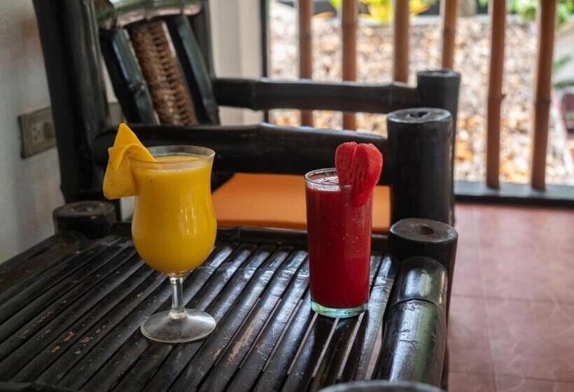 Номер Стандарт, Hippocampus Beach Resort