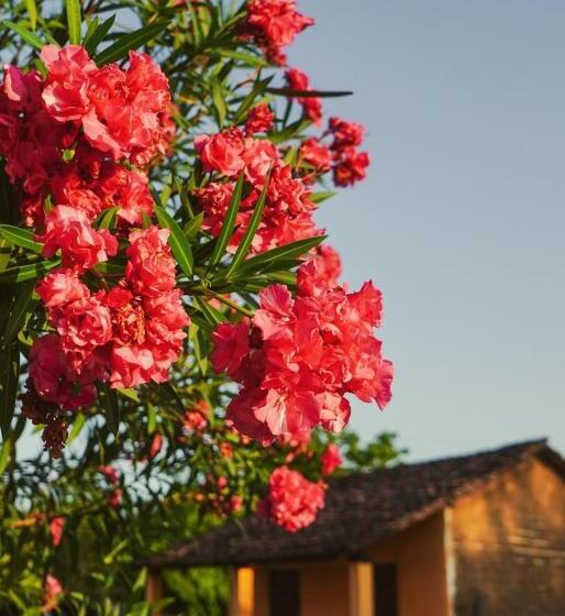 Трехместный Номер Стандарт с Балконом, Hostel Kimmell / Hostal Familiar La Casita De Los Kimmell