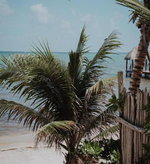 Deniz Manzaralı Delüks Oda, Cielo Maya Beach Tulum