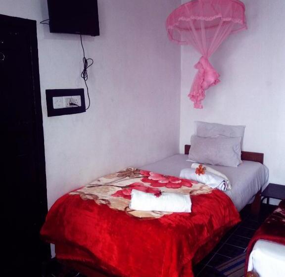 标准三人间, White Home