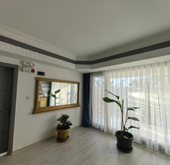 标准间, Paşa Konağı Ayvalık