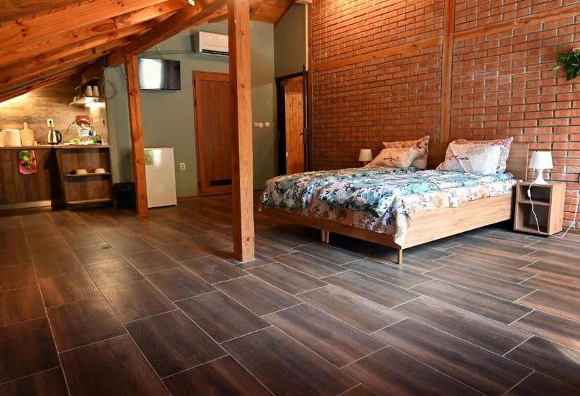 استودیو استاندارد با بالکن, Coastalguest House