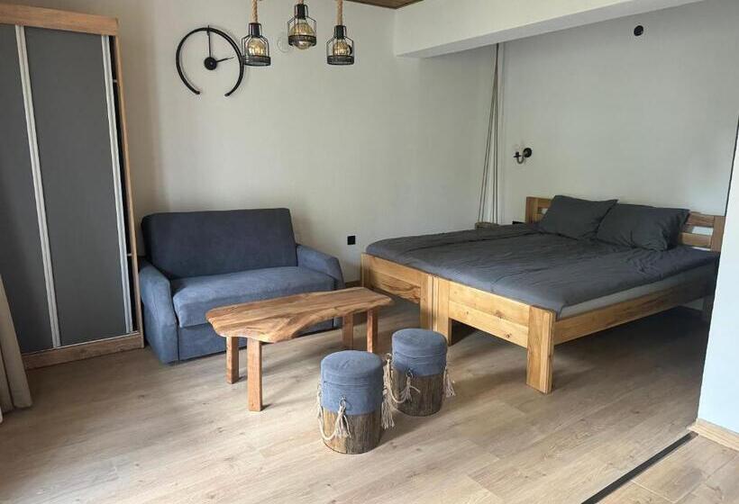 اتاق لوکس با بالکن, Vila Aspen   Mountain View Apartments
