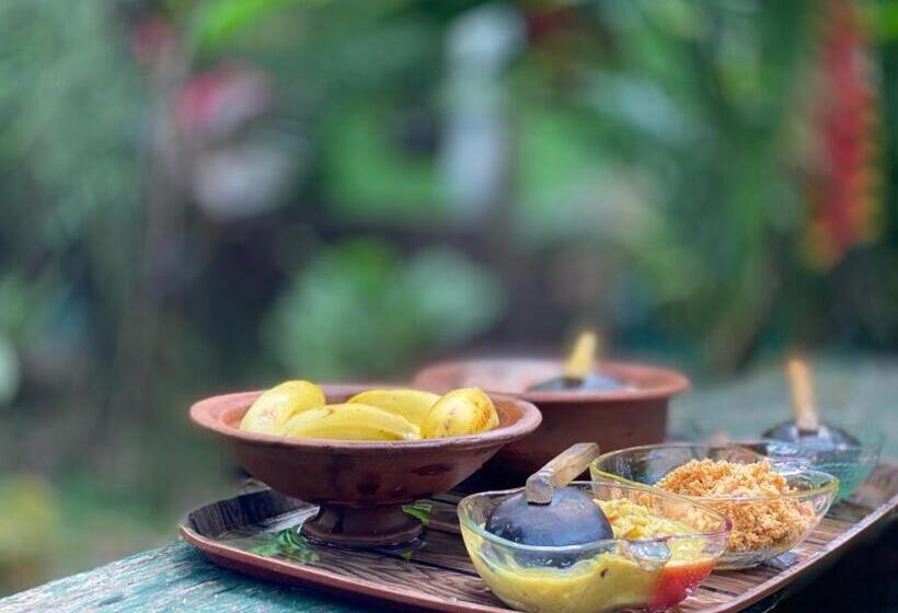 اتاق استاندارد یک نفره, Forest Villa Nature Resort