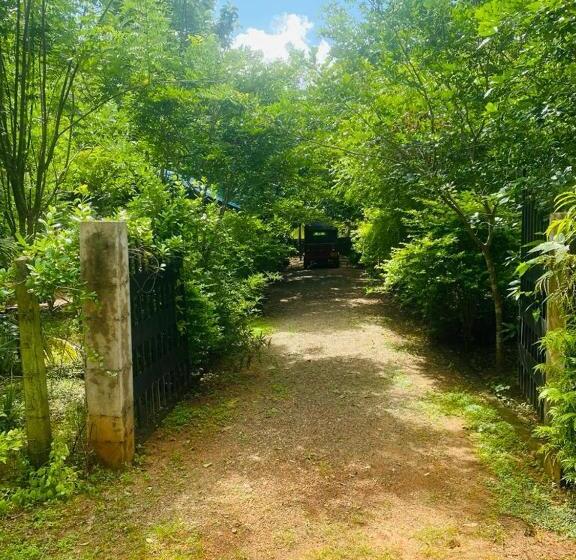 اتاق استاندارد, Forest Villa Nature Resort