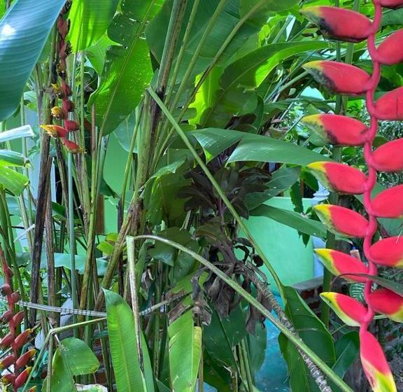 اتاق استاندارد, Forest Villa Nature Resort