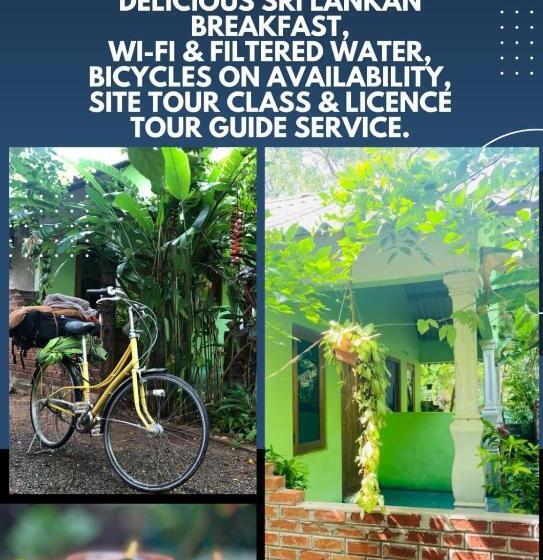 اتاق استاندارد, Forest Villa Nature Resort