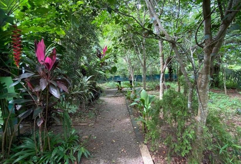 اتاق اکونومی, Forest Villa Nature Resort