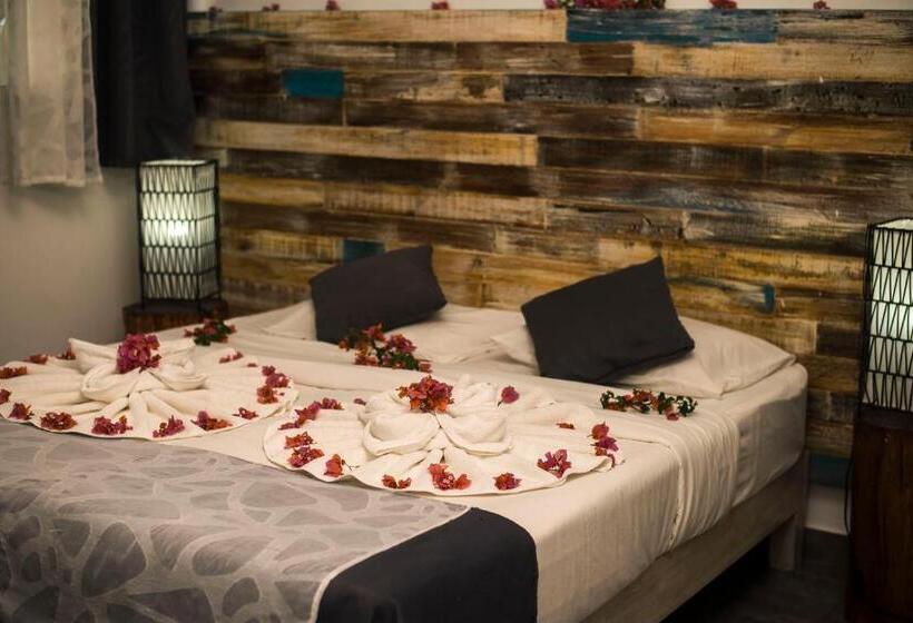 اتاق استاندارد, Stella Rina Adults Only