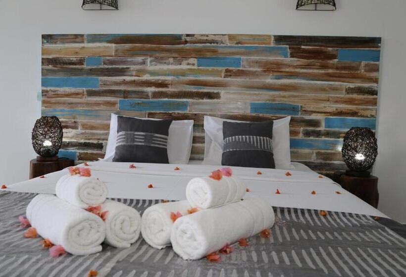 سوییت جونیور, Stella Rina Adults Only