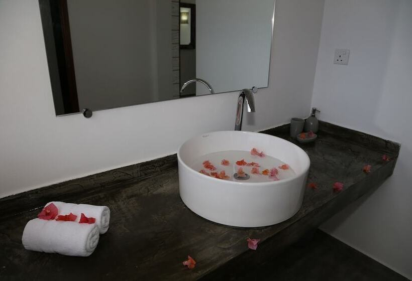 اتاق استاندارد, Stella Rina Adults Only