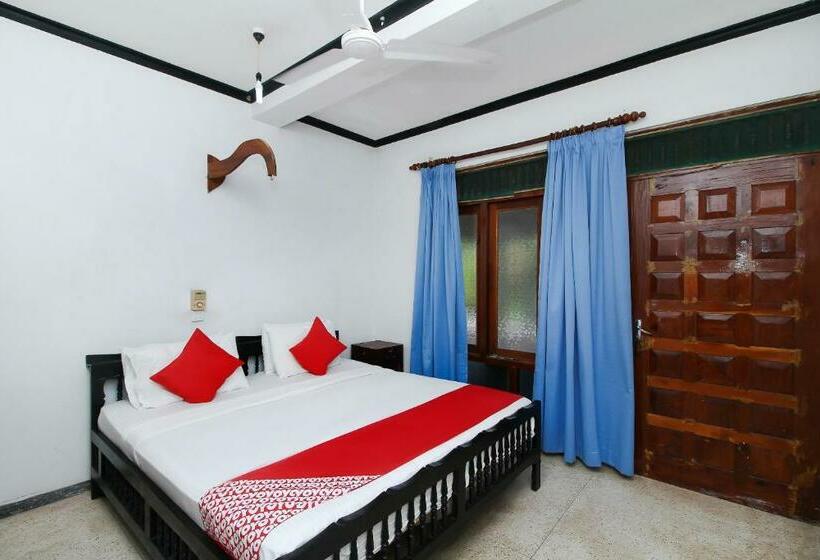 Quarto Estandar, New Okay