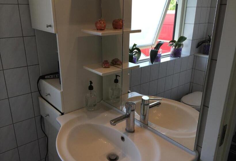 ベーシックルーム, Amazing Herlev