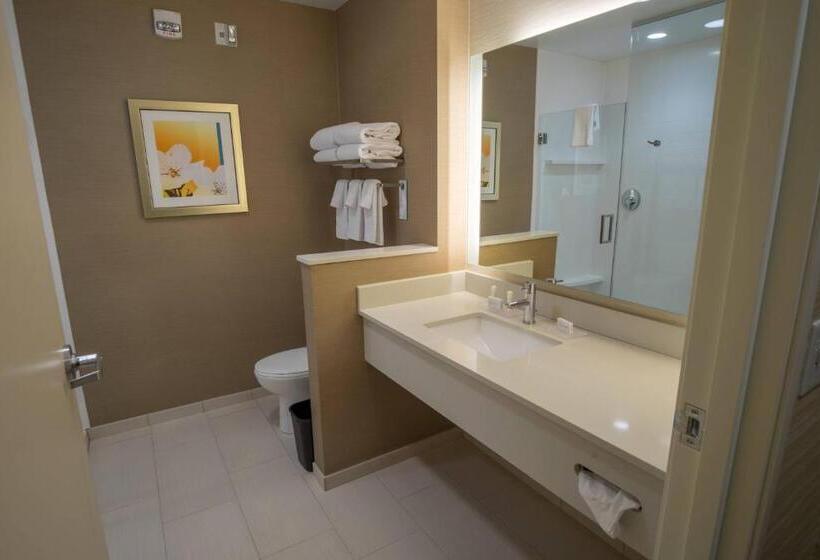 סוויטה, Fairfield Inn & Suites By Marriott Wisconsin Dells