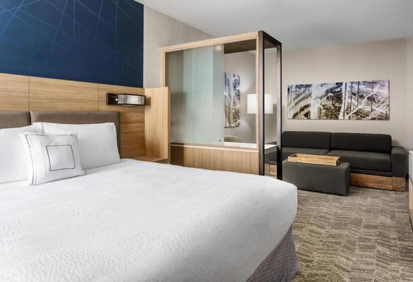스위트 킹사이즈 침대, Springhill Suites By Marriott Belmont Redwood Shores