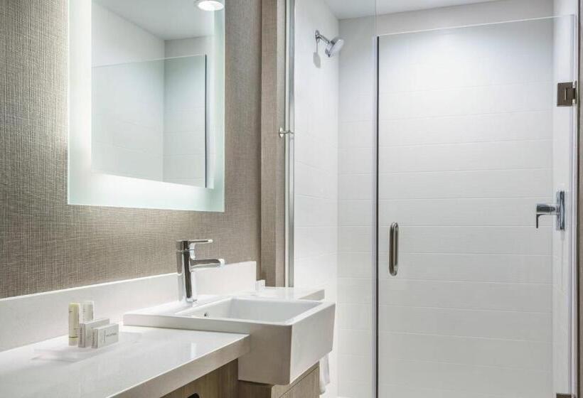 장애인을 위한 스위트, Springhill Suites By Marriott Belmont Redwood Shores