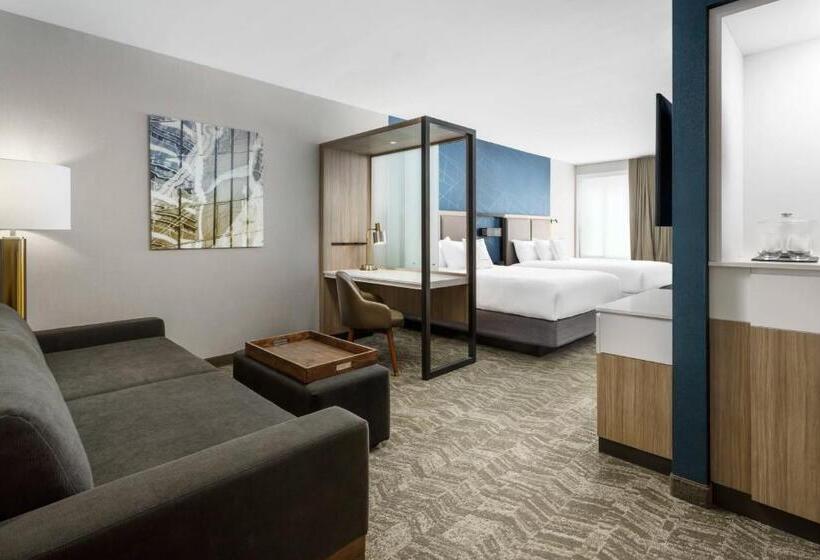 장애인을 위한 스위트, Springhill Suites By Marriott Belmont Redwood Shores