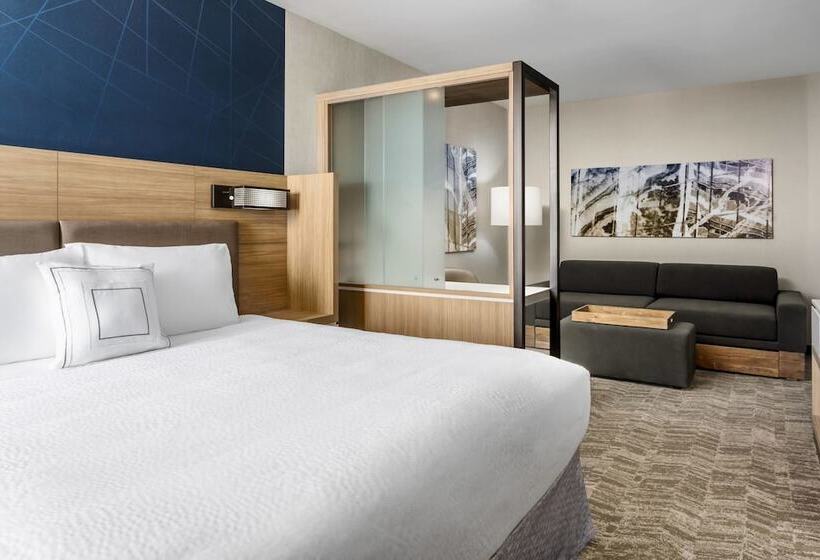 장애인을 위한 스위트, Springhill Suites By Marriott Belmont Redwood Shores