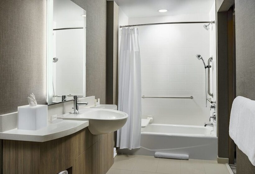 장애인을 위한 스위트, Springhill Suites By Marriott Belmont Redwood Shores