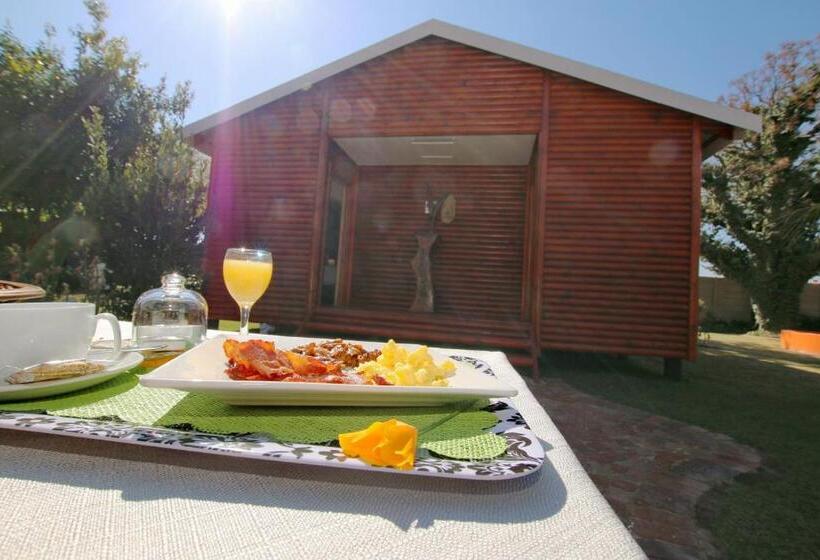 اتاق استاندارد با چشم‌انداز باغ, Summer Garden Guest House