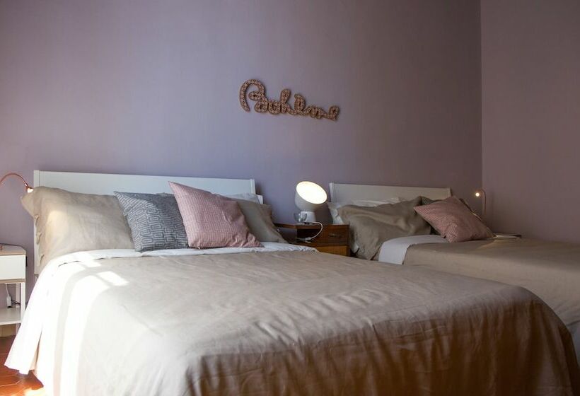 اتاق استاندارد, Al 28 B&b