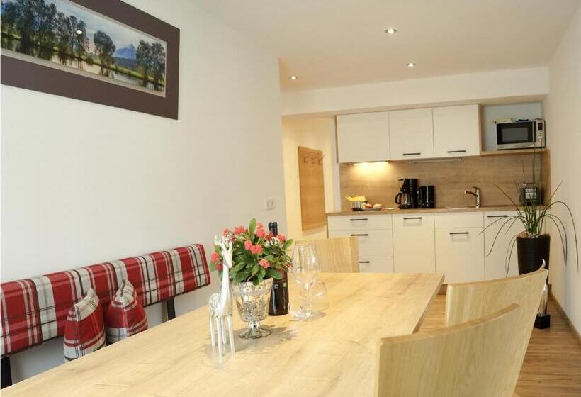 Апартаменты 1 Спальня с Видом, Pension Apartment Erna