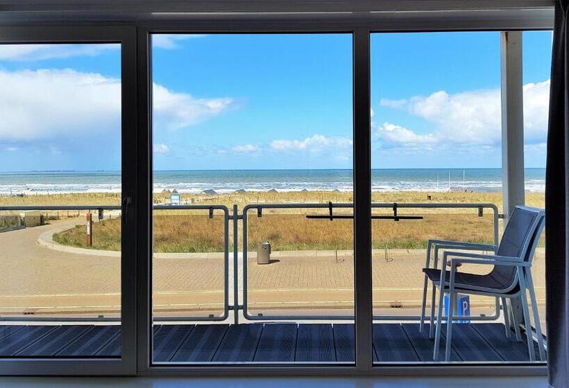 غرفة قياسية فردية, B&b Seahorse