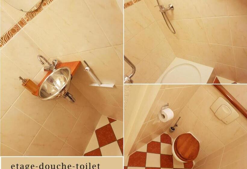 اتاق استاندارد یک نفره, B&b Seahorse